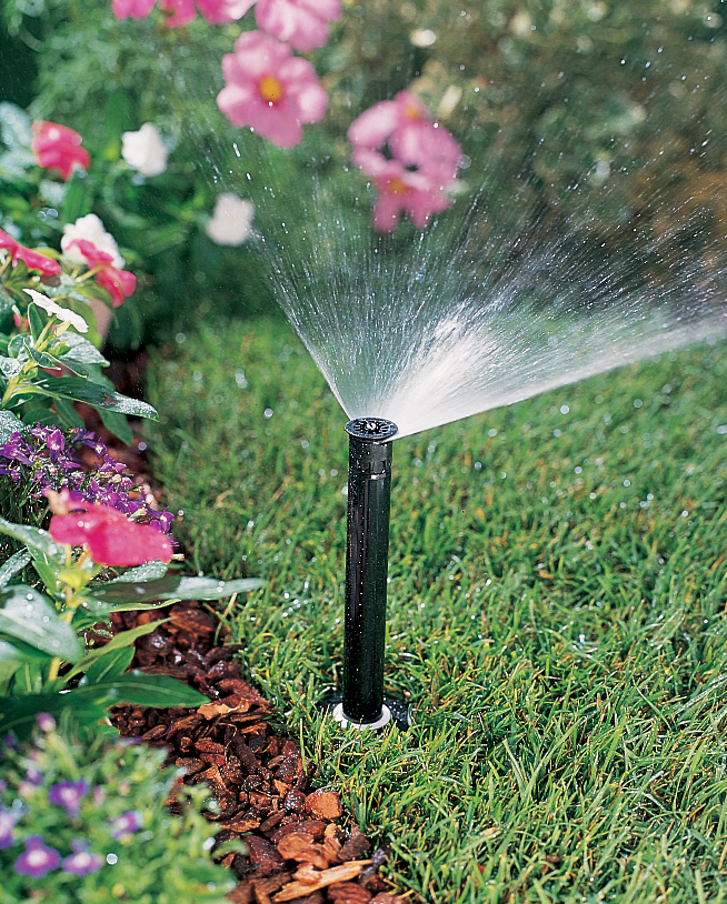 A professional pop-up sprinkler head watering a lush green lawn and adjacent landscape flower bed.