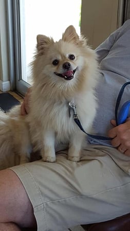 Images Manatee Veterinary Clinic