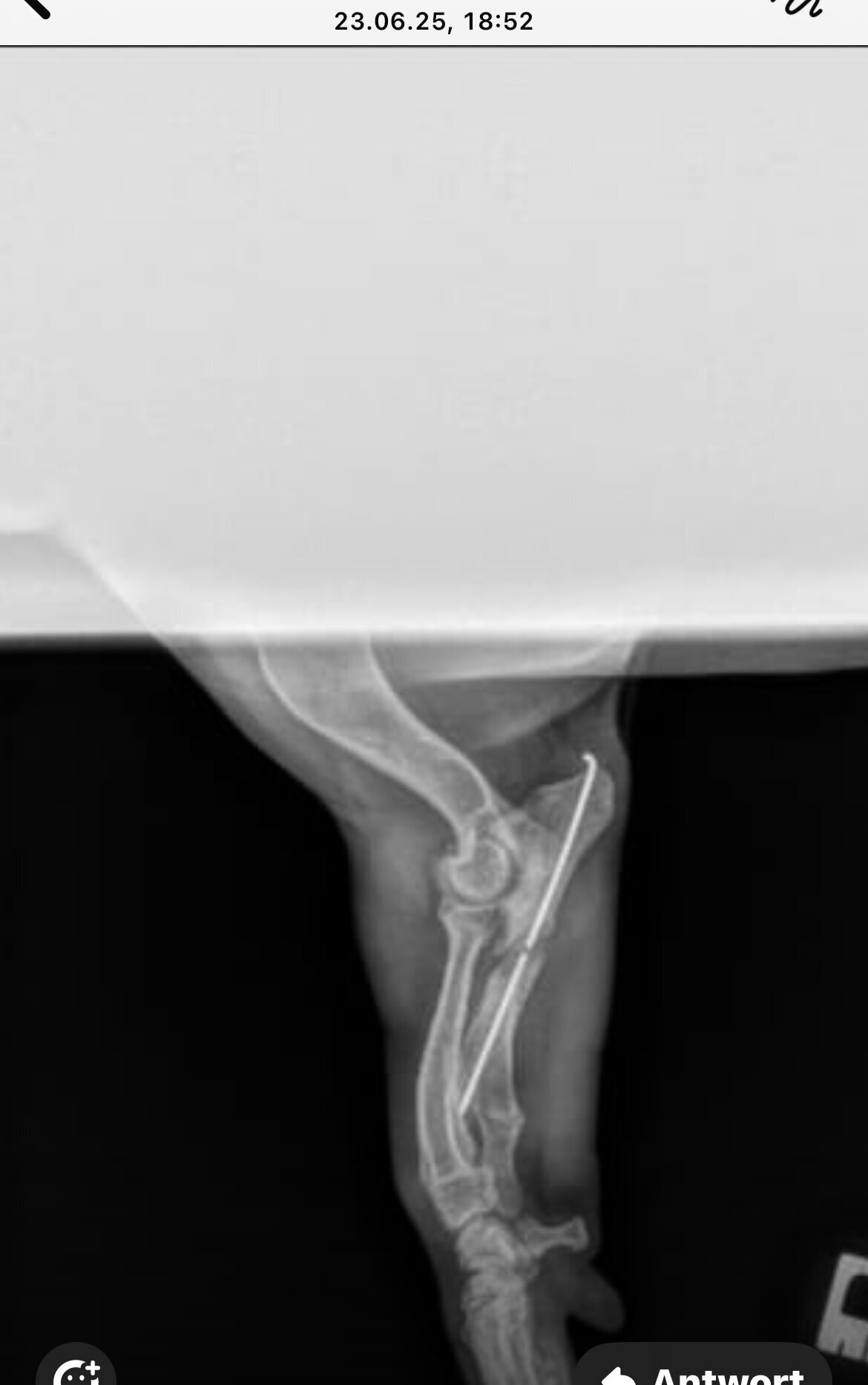 NANO Center CellCare therapie Bioresonanz Daniela Siegmund in Essen