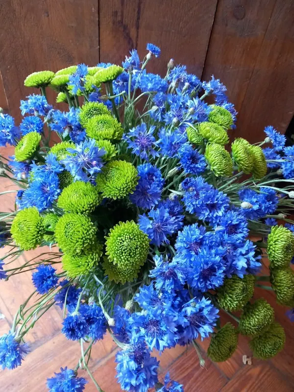 Images Flower Power Fioraio