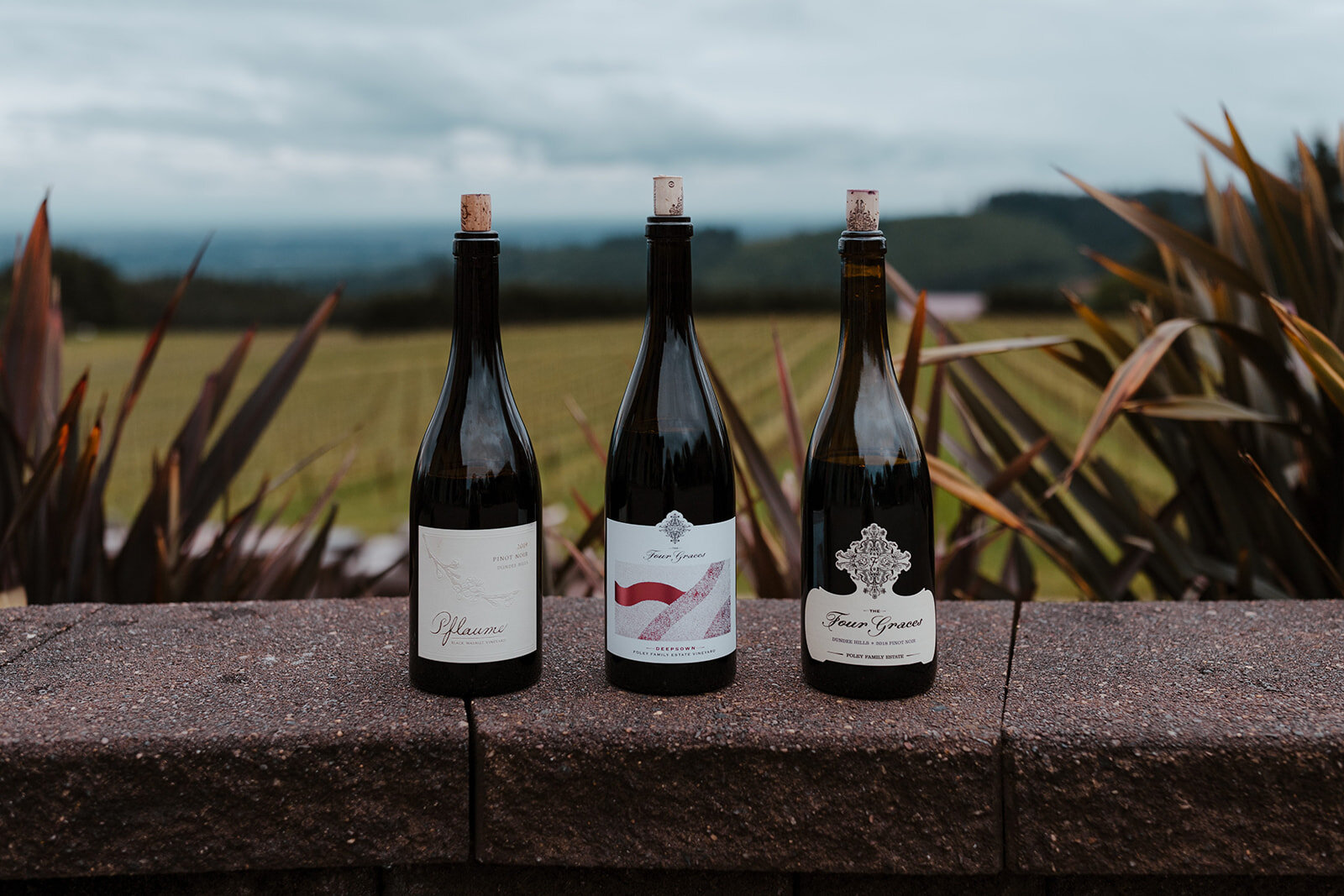 Black Walnut Inn & Vineyard Image