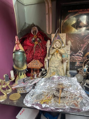 Images Botanica Vision Center