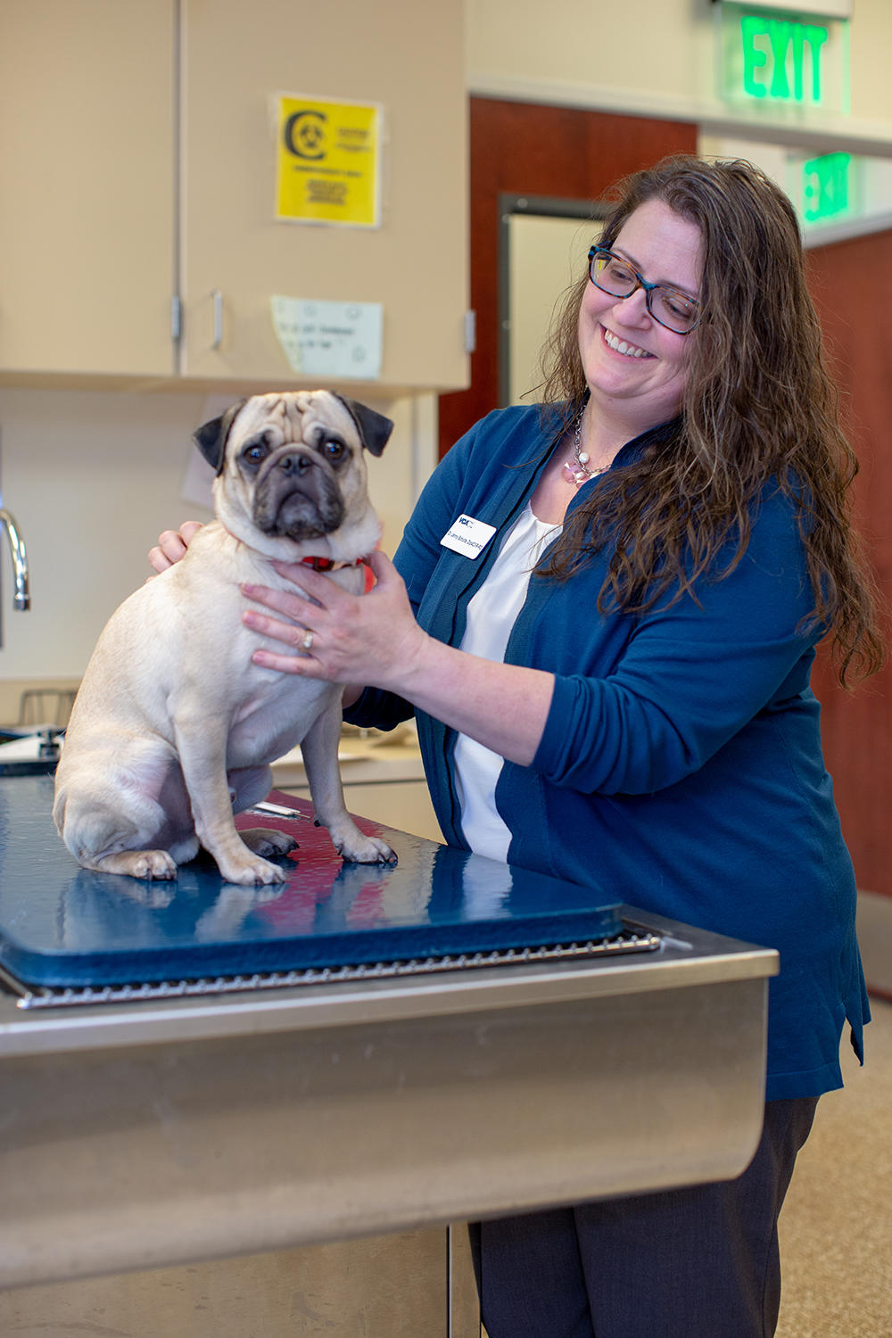 Image 10 | VCA Sacramento Veterinary Referral Center