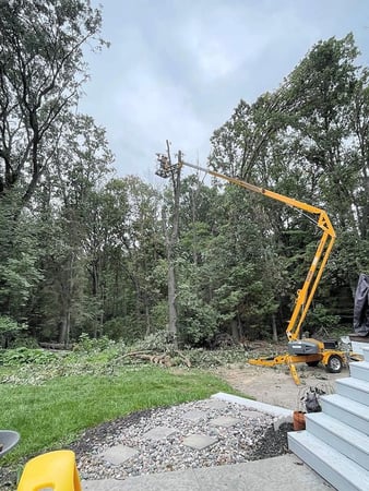 Images Trustfall Tree Service