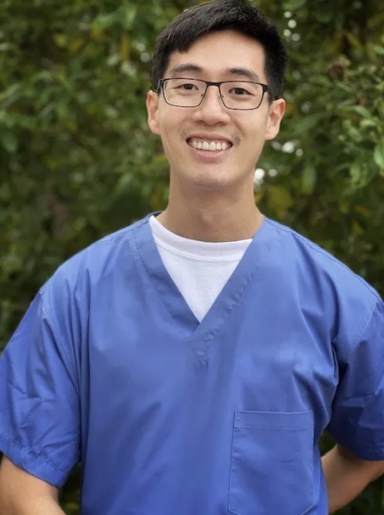 Images Stonestown Endodontics