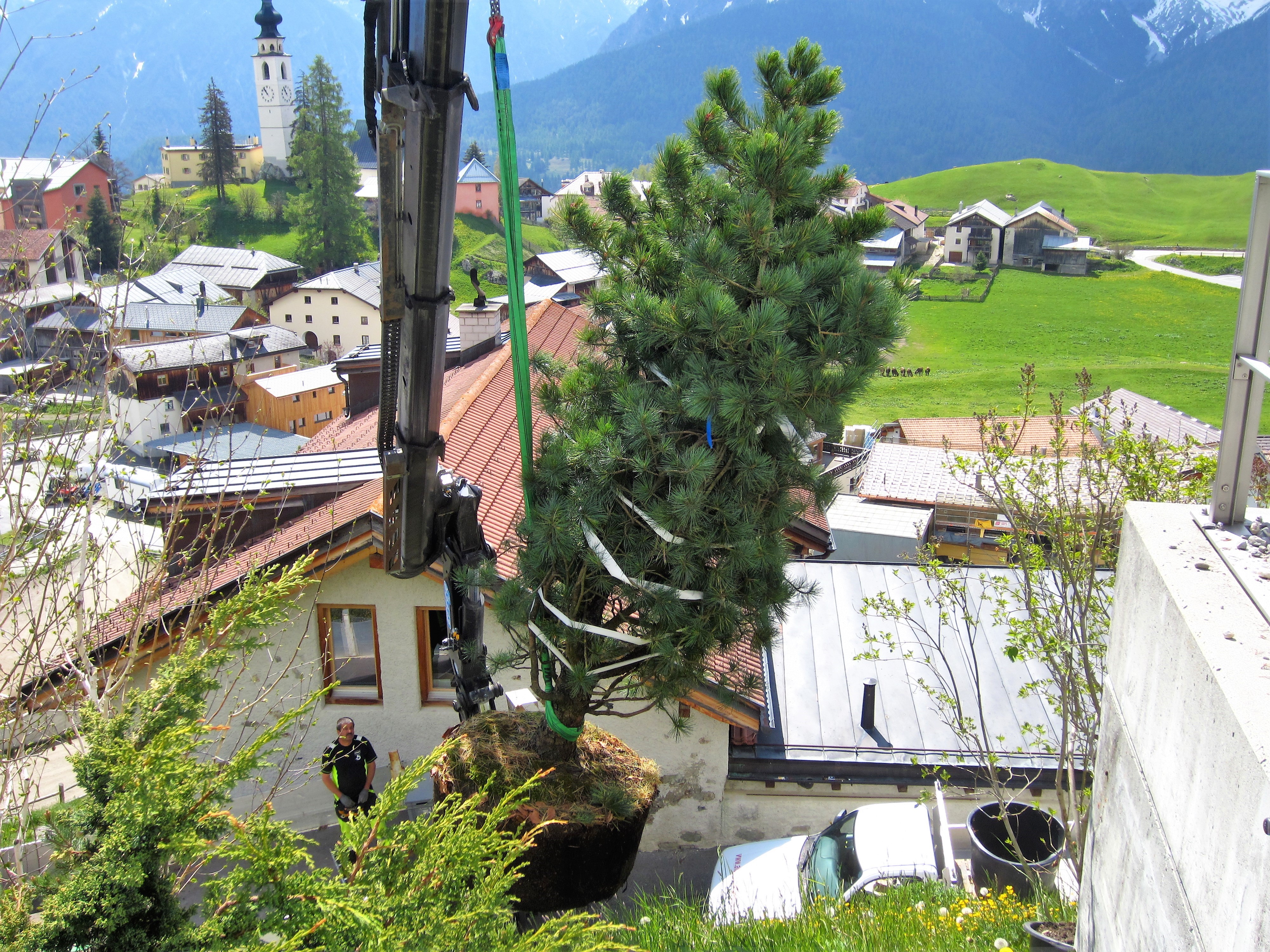 Bilder Albula Gartenbau GmbH