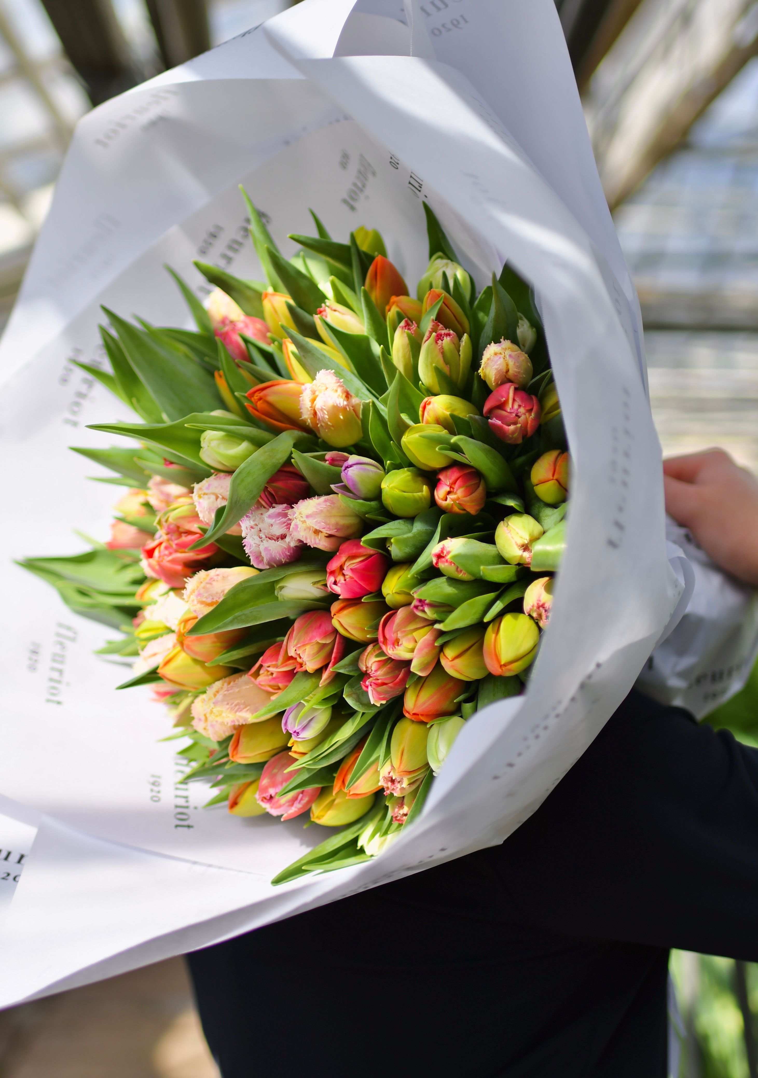 Bilder Fleuriot Fleurs, Fleuriste la Corraterie