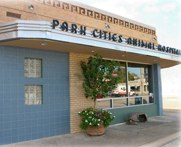 Images VCA Park Cities Animal Hospital