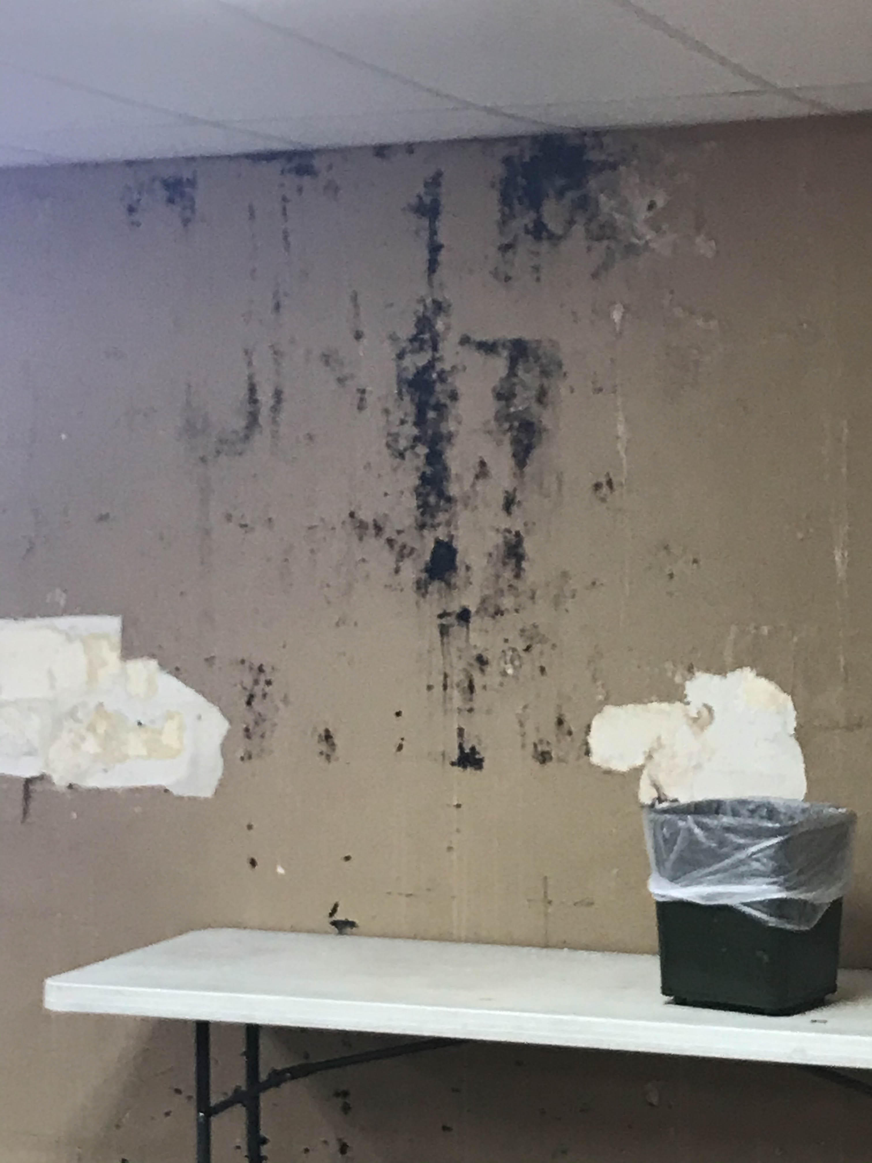 Any mold in your home or business should be treated with caution. Our SERVPRO of Tyler Professionals are certified and skilled in mold remediation. 

The state of Texas regulates businesses testing and cleanup for mold.