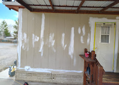 Aragon's Pro Painting Image