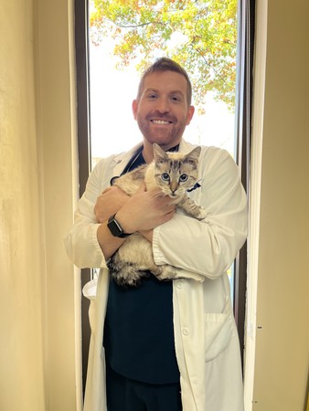 Images VCA SouthPaws Veterinary Specialists & Emergency Center