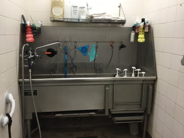 Images Petco Grooming