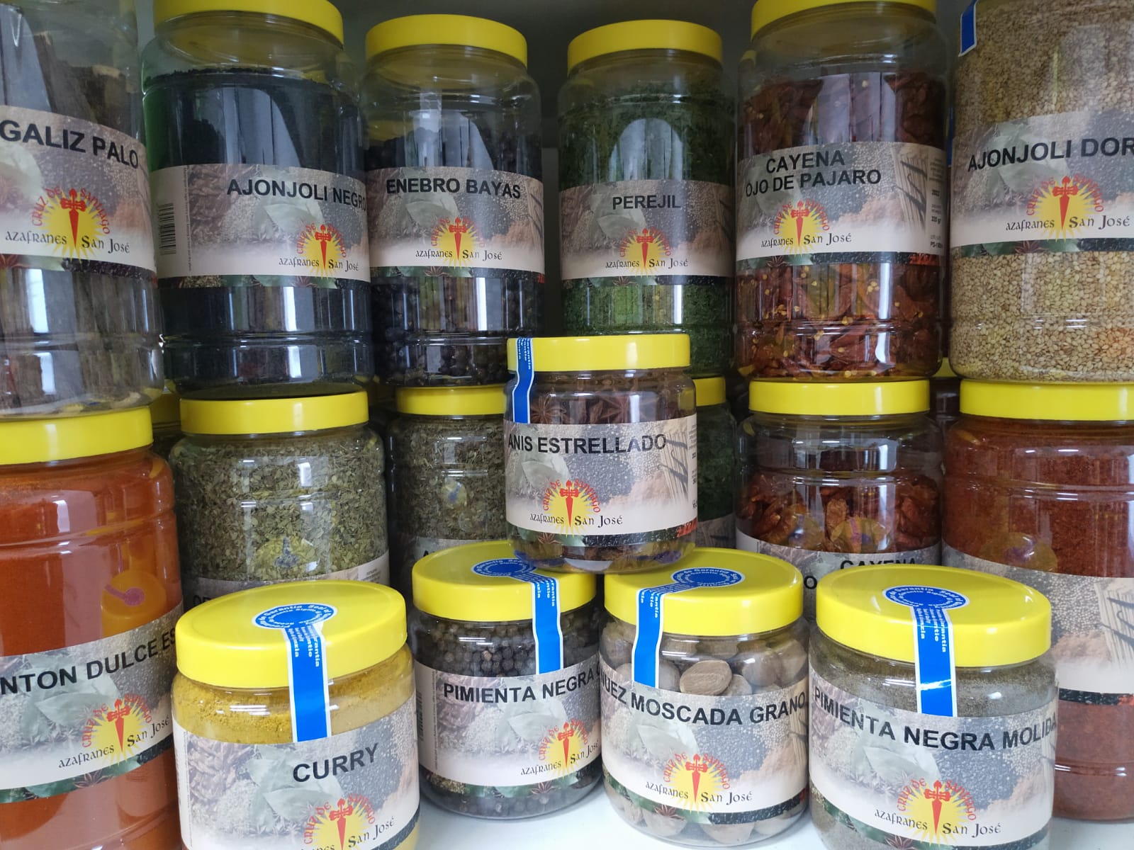 Images Representaciones Sardinero