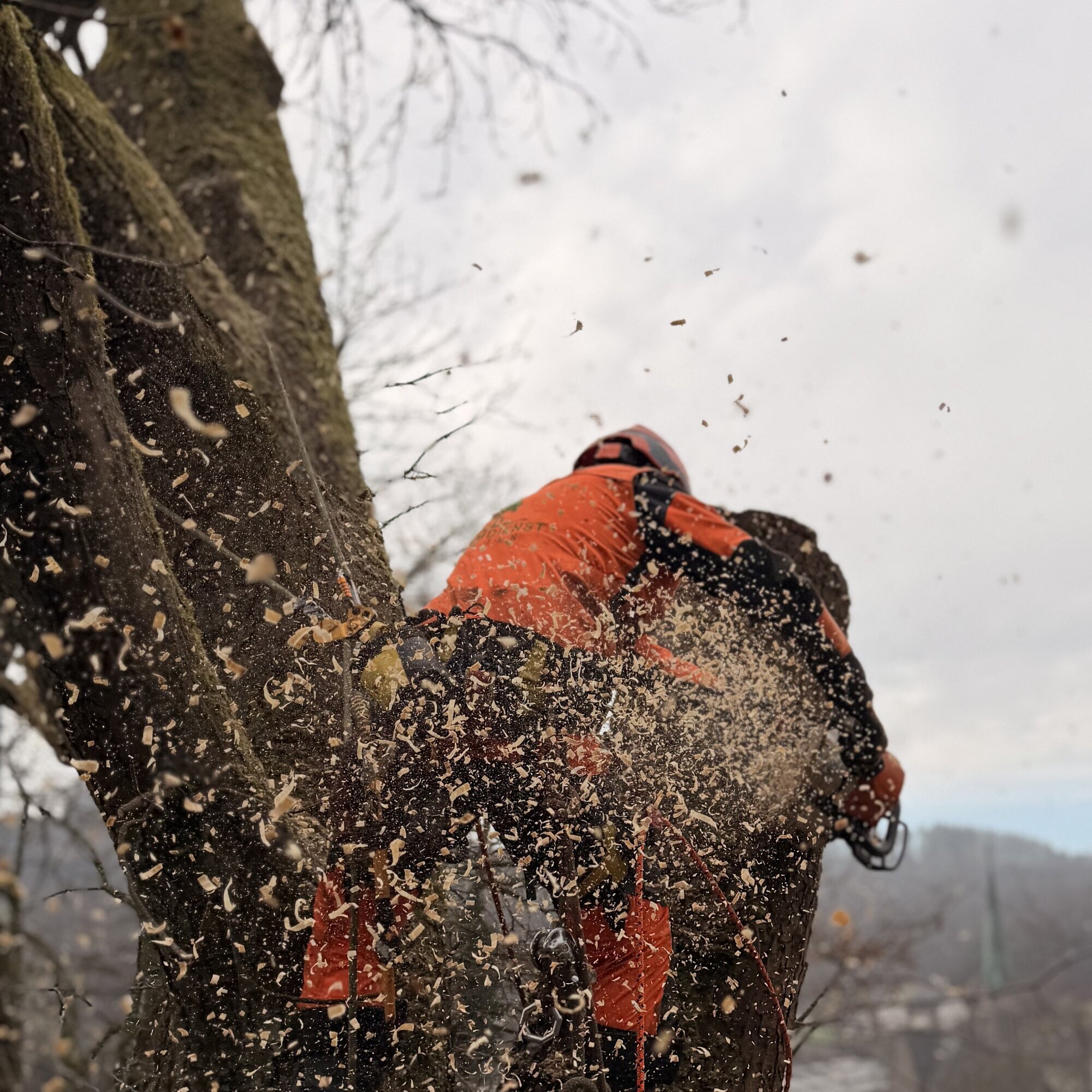Baumdienst Behan, Im Winkel 22 in Schalksmühle