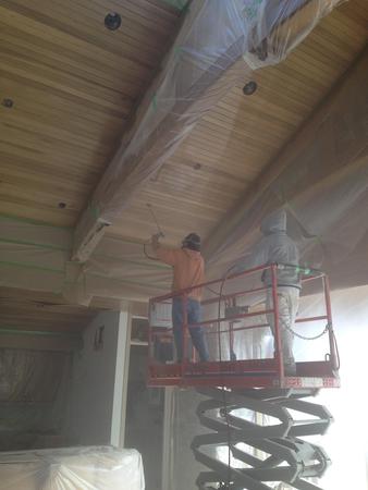 Images Sean Hadden Painting