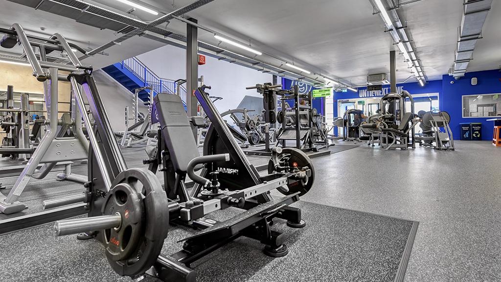 Free Weights Area