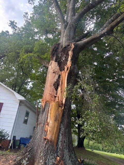 Jensen Lawn & Landscaping and Tree Service