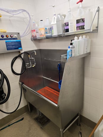 Images Petco Grooming