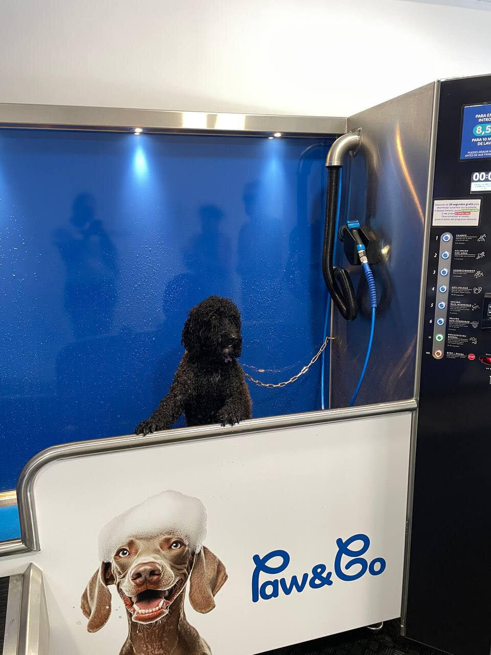 Images Paw&Go - Autolavado de perros y peluquería canina