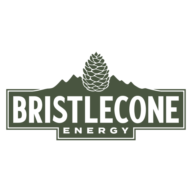 Bristlecone Energy Logo