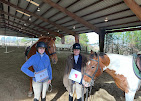 Images Star Ridge Stables
