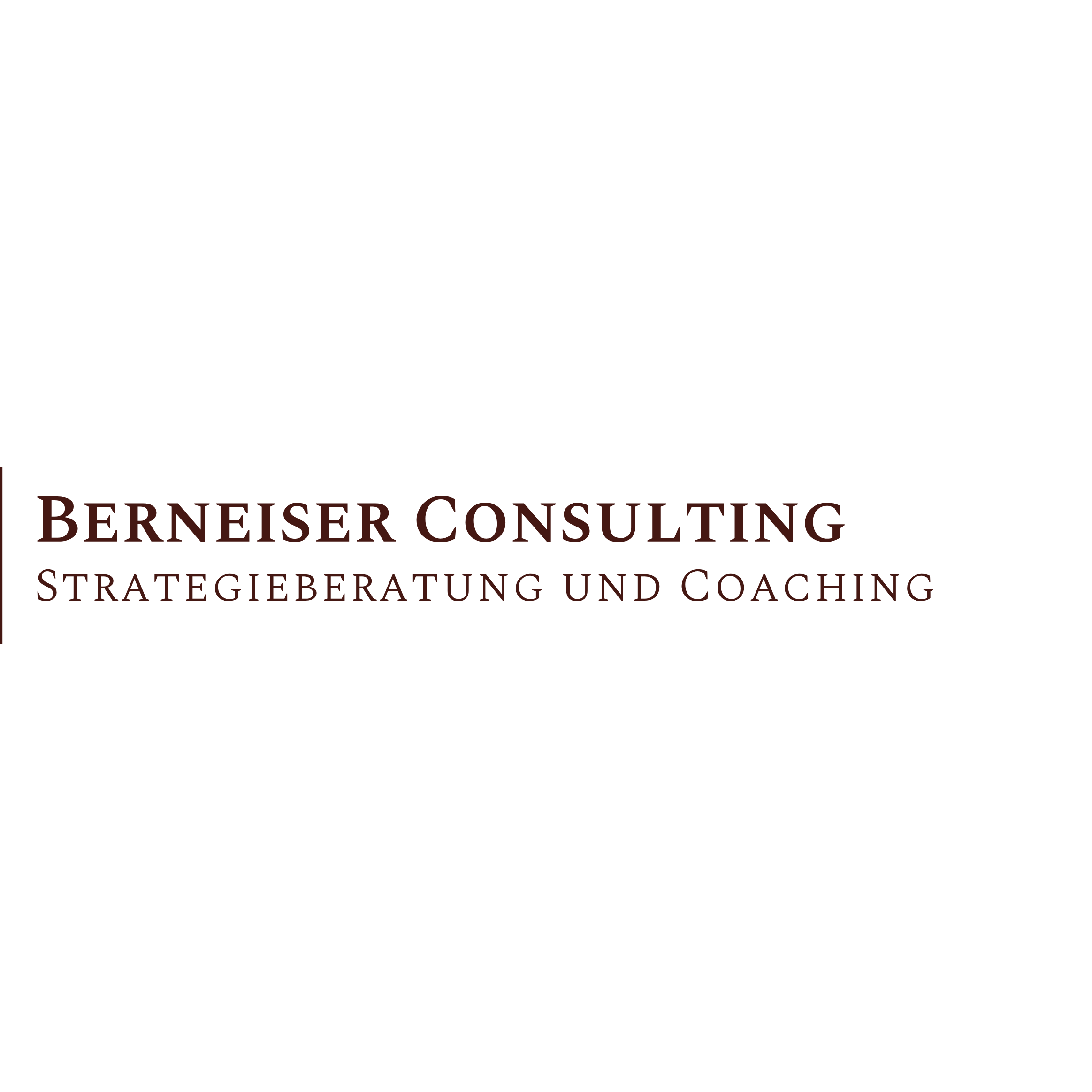 Berneiser Consulting Strategieberatung und Coaching in Bornheim im Rheinland - Logo