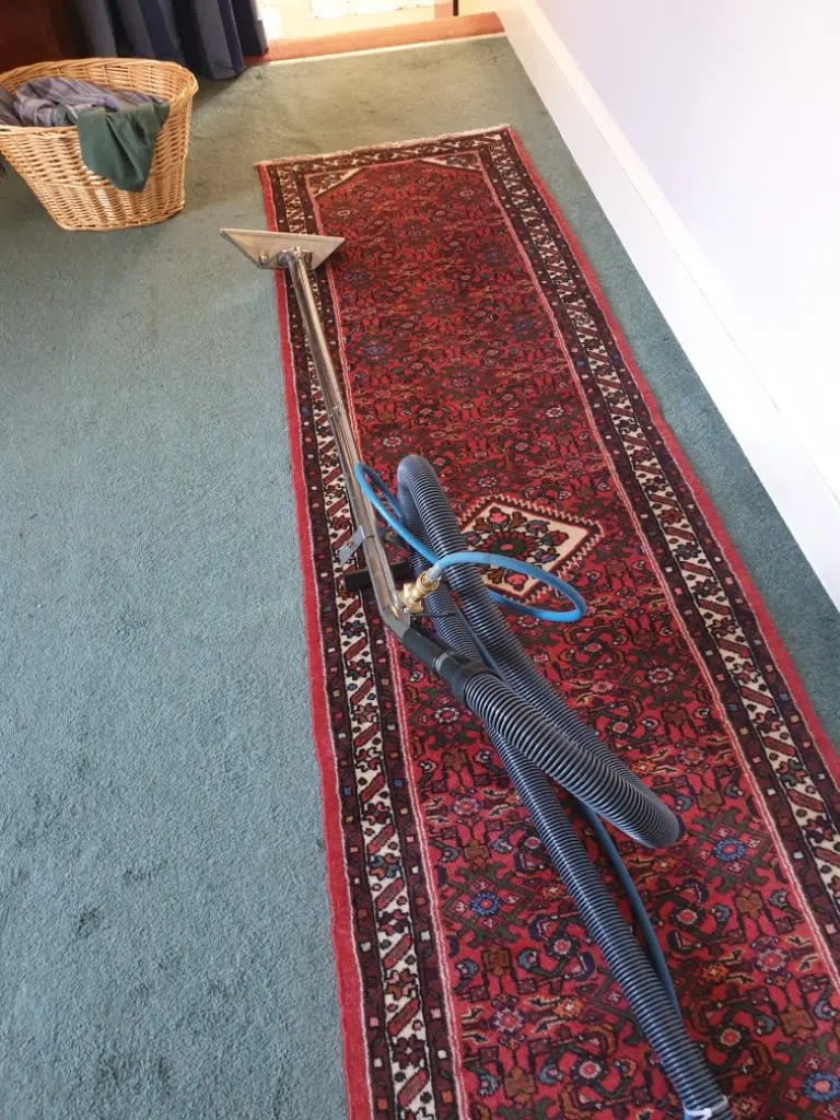 Images Johnshaven Carpet Cleaning Services