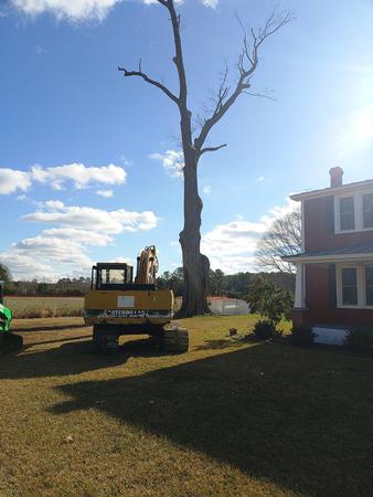 Images Burch Tree Service