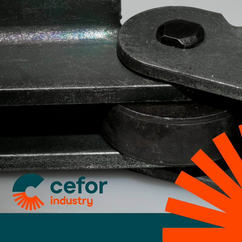 Images Cefor Industry