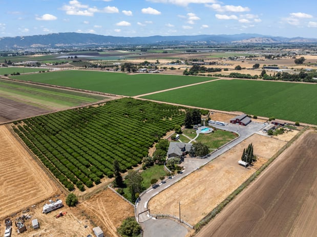 Images Davenport Real Estate Group | Keller Williams Bay Area Estates