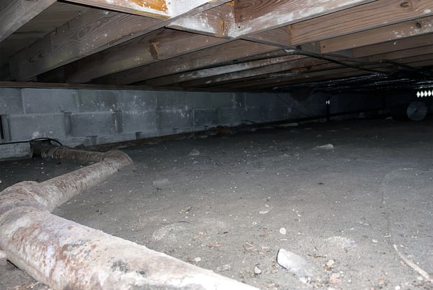 Images Encapsulations Down Under