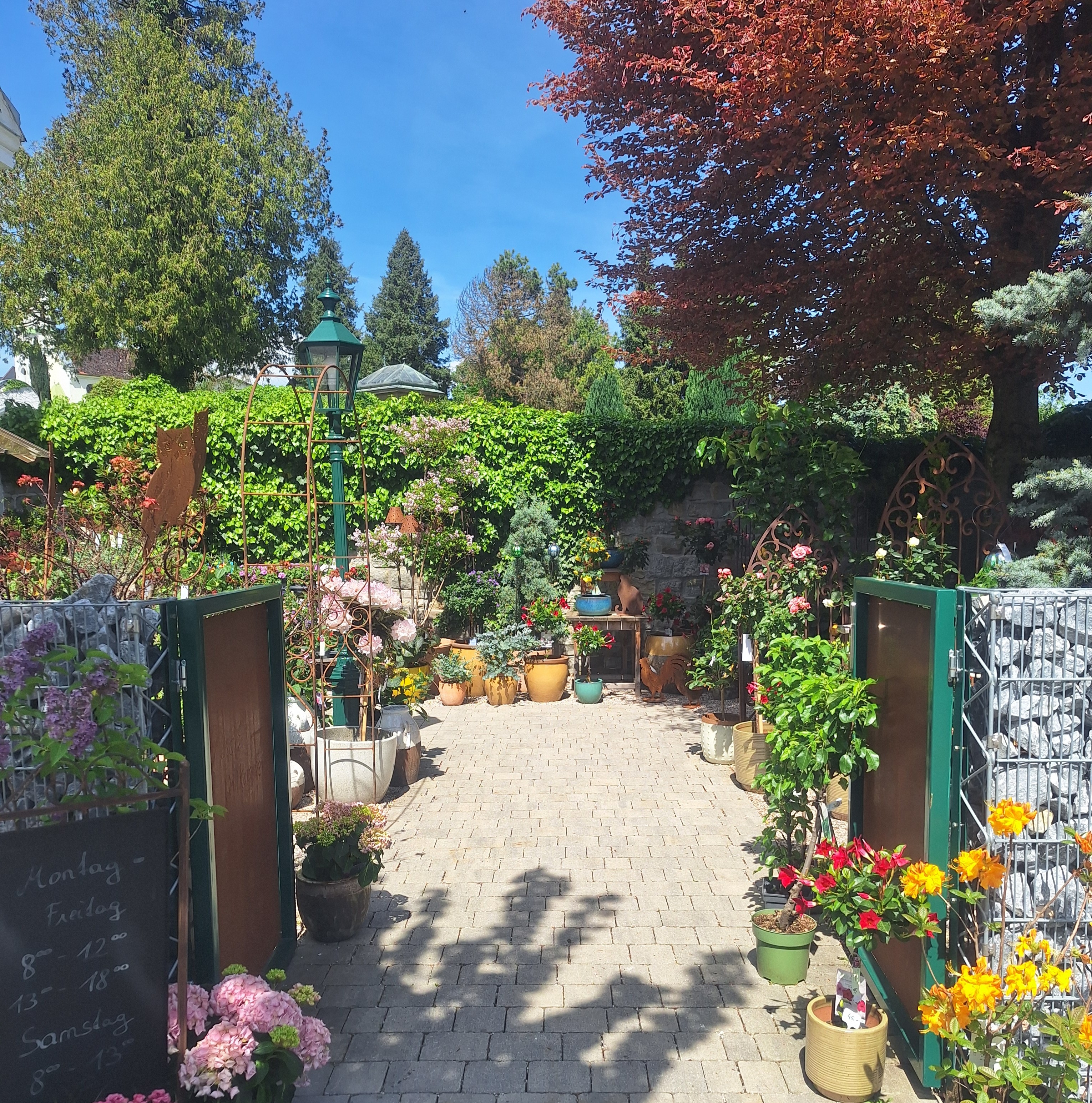 Bild 18 von Grün-Zone