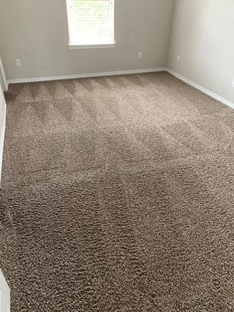 Images Fresh Carpet Clean Houston