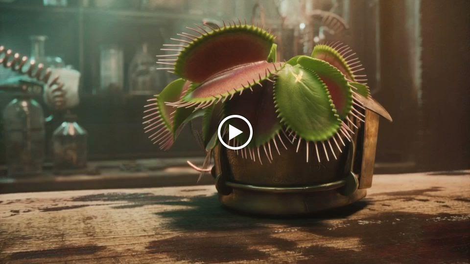 EscapeVenture Braunschweig – cineastische Escape Rooms voller Abenteuer., Hamburger Straße 268 in Braunschweig