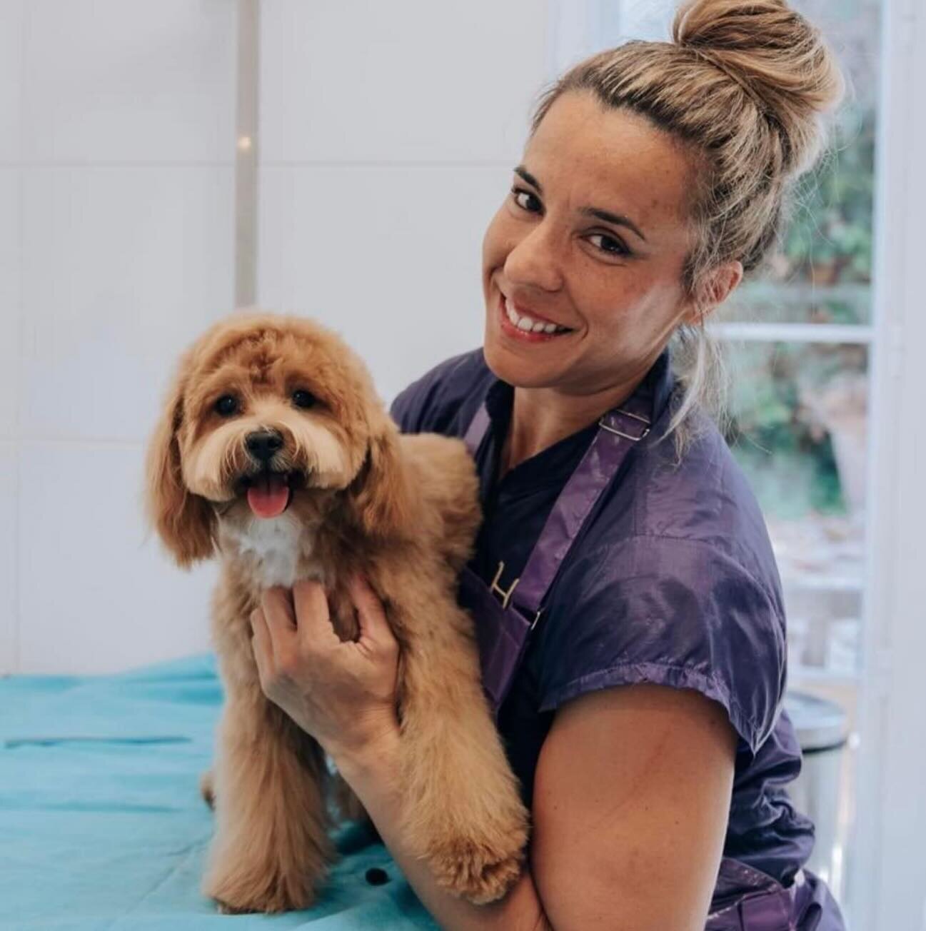 Images The Black Poodle Groom & Care S.L.