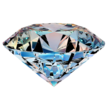 Diamond Personal Services LLC Logo