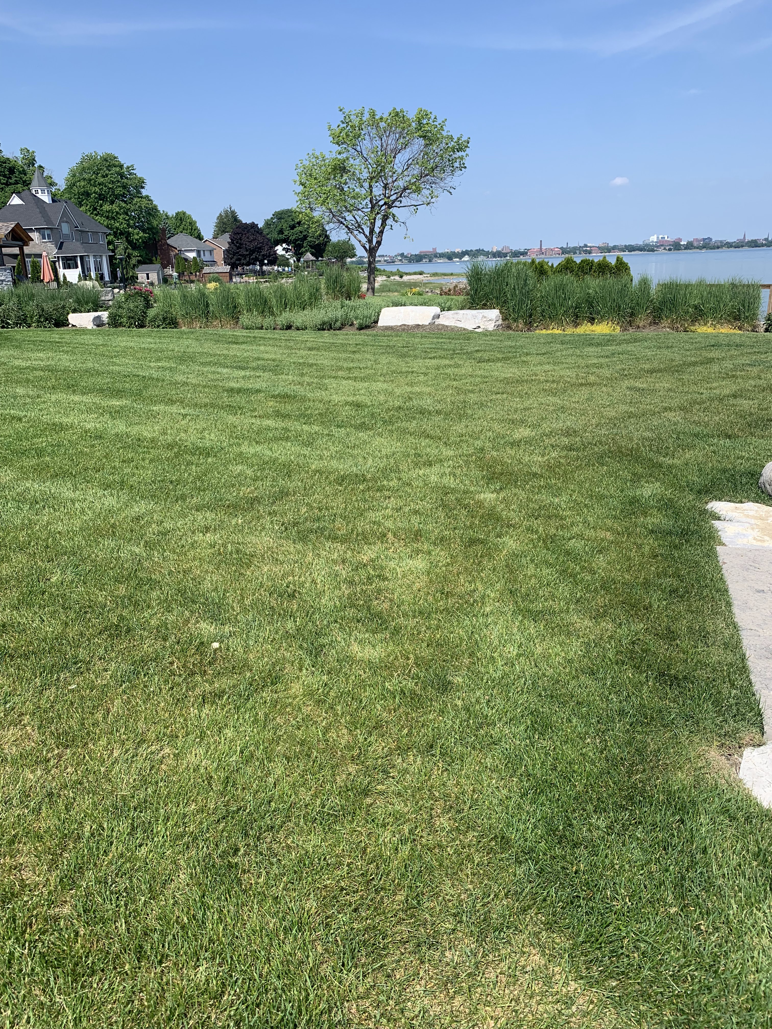 Images VanDuzen Lawn Care