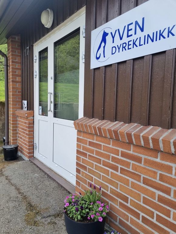 Images Yven Dyreklinikk AS