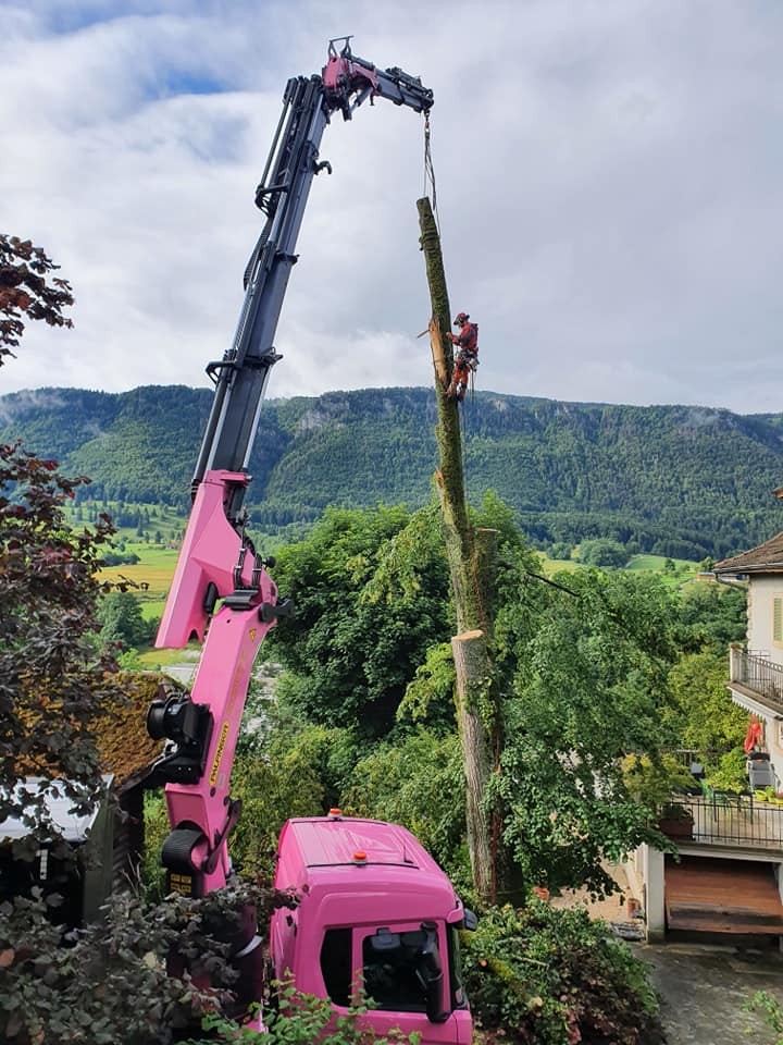 Bilder Cano Transports Sàrl