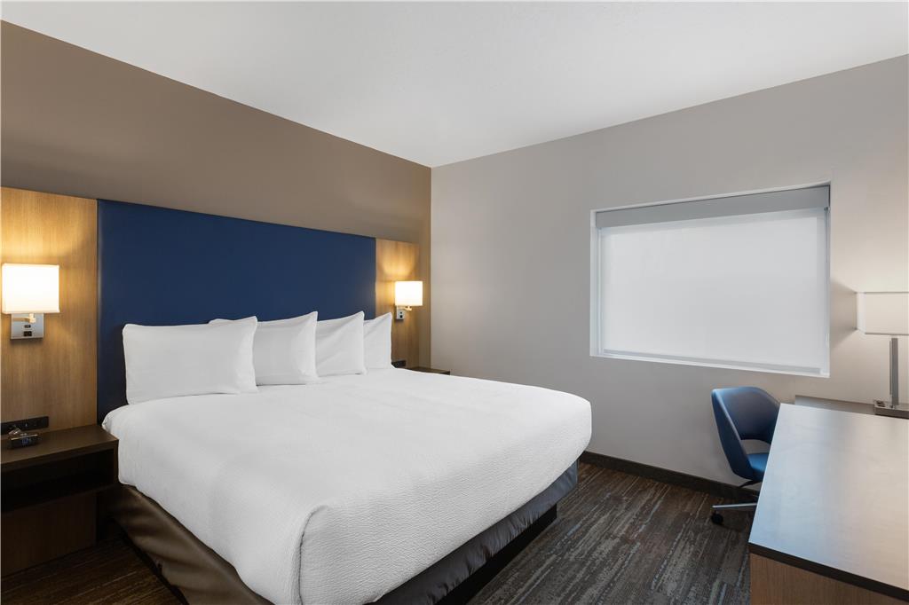 King Queen Suite Apartment