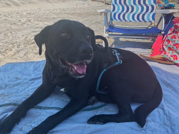 Images Michael Venable - State Farm Insurance Agent