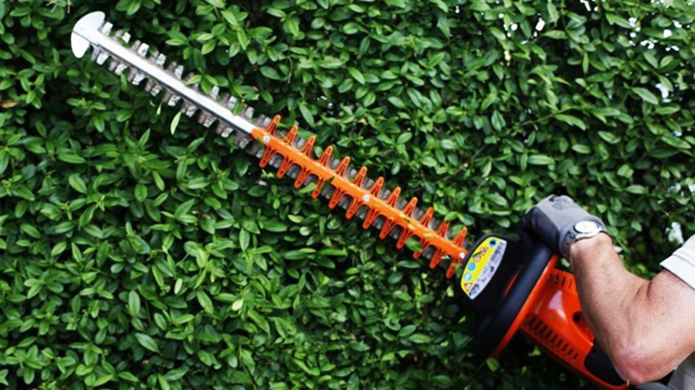 Images Lausten & Co.