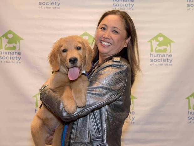 Images The Humane Society of Charlotte