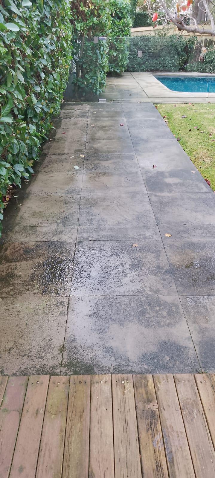 Images Butler Carpet Cleaning Sydney