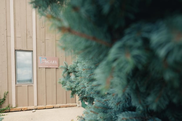 Images SCAEL Dental Studio