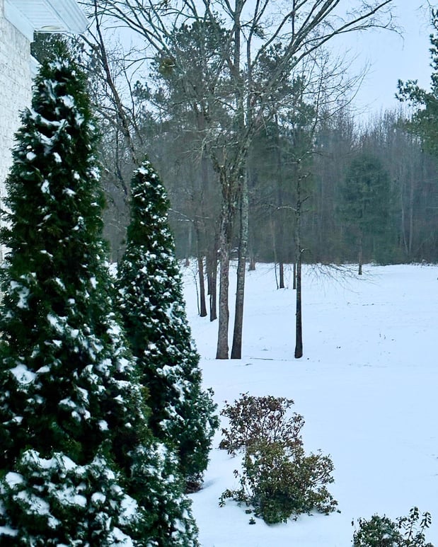 Images Matthew Maniscalco - State Farm Insurance Agent