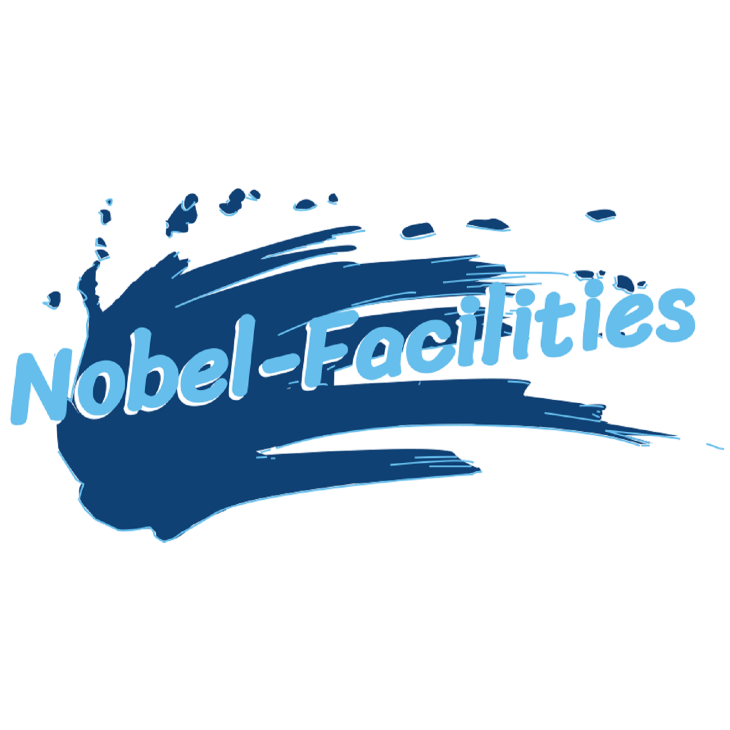 Nobel Wash Logo