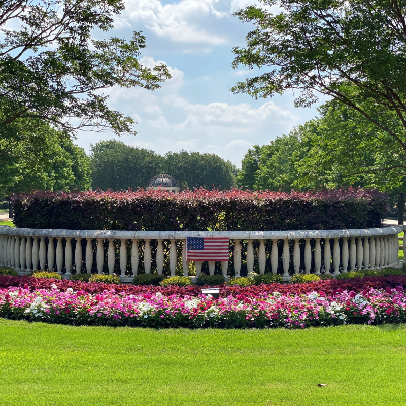 Smith Lawn and Tree