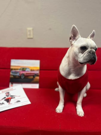 Images Crystal Martinez - State Farm Insurance Agent