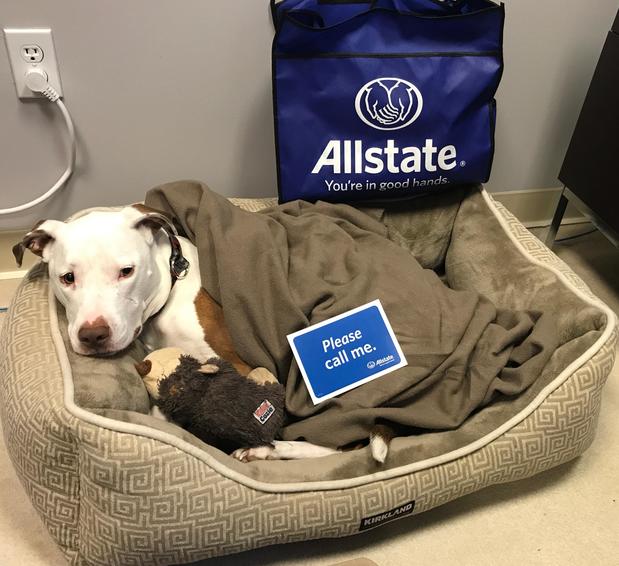 Images Jennifer Zachorewitz: Allstate Insurance